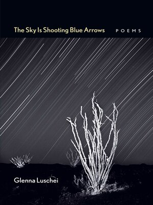 cover image of The Sky Is Shooting Blue Arrows